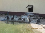 IMG_0146