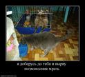 251803_ya-doberus-do-tebya-i-vyirvu-pozvonosnik-mraz