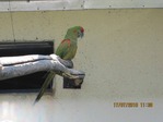 IMG_0152