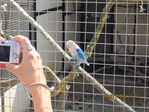 IMG_0186