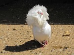 IMG_0189