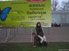 Аффтор жжет )))