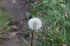 tn_IMG_3600