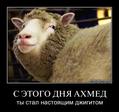 fag81qgrsyfp