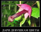 1285401702_demotivatory_v38