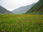 IMG_0019