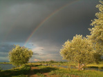10291DA7-1992-43B3-B4C9-004CF1FE9F3B
