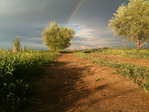 32EA2A31-62F5-47CF-88D8-6E01597441C1