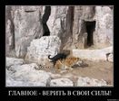 k32ywAr7xY34tW0lu3Nm5wMsmEcrUqp77revil5lLQFA