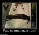 G4IKECk8JpC5hOjx29g5AphtyYwPWxk191ZN3ksZKw