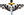 l_302