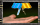 givelid copy