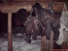 DSC00092