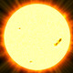 thesun