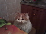 Мой домашний бонус ловкости по кликухе Гном :страх