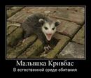 Demotivator-1