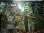 P1010531