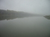 IMGP3531