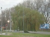 IMGP3489