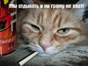 08a7983dec24ccc4d23ede9d42ec3144_full
