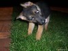 35_pics_87388.jpg