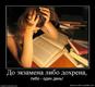 502432_do-ekzamena-libo-dohrena