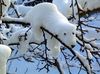 069_pics