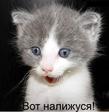 34464ad7916a9eb35f6f68dc5942c664_full