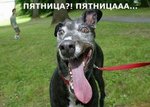 4b8b199ad7df28077cbf4ceeb2e89e16_full
