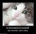 339079_ya-polozhitelnyij