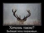 demotivator026