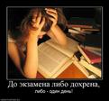 502432_do-ekzamena-libo-dohrena