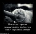 664614_nezhnost-luchshee-dokazatelstvo-lyubvi-chem-samyie-strastnyie-klyatvyi