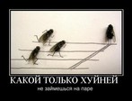 01 (2)