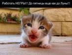 poned_07