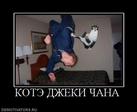 315583_kote-dzheki-chana