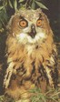 178-1