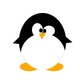 pingi 1