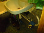 DSC00015