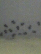 07-12-09_1833