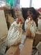 received_196391141233281