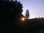 S6001008