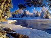 hiver froid