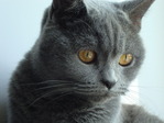 DSC032241
