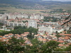 красота)