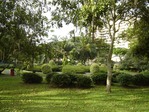 Singapore (3)