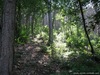 x_b839170a