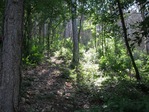 x_b839170a