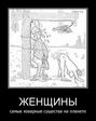 Єто правдААА