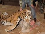 в борьбе...